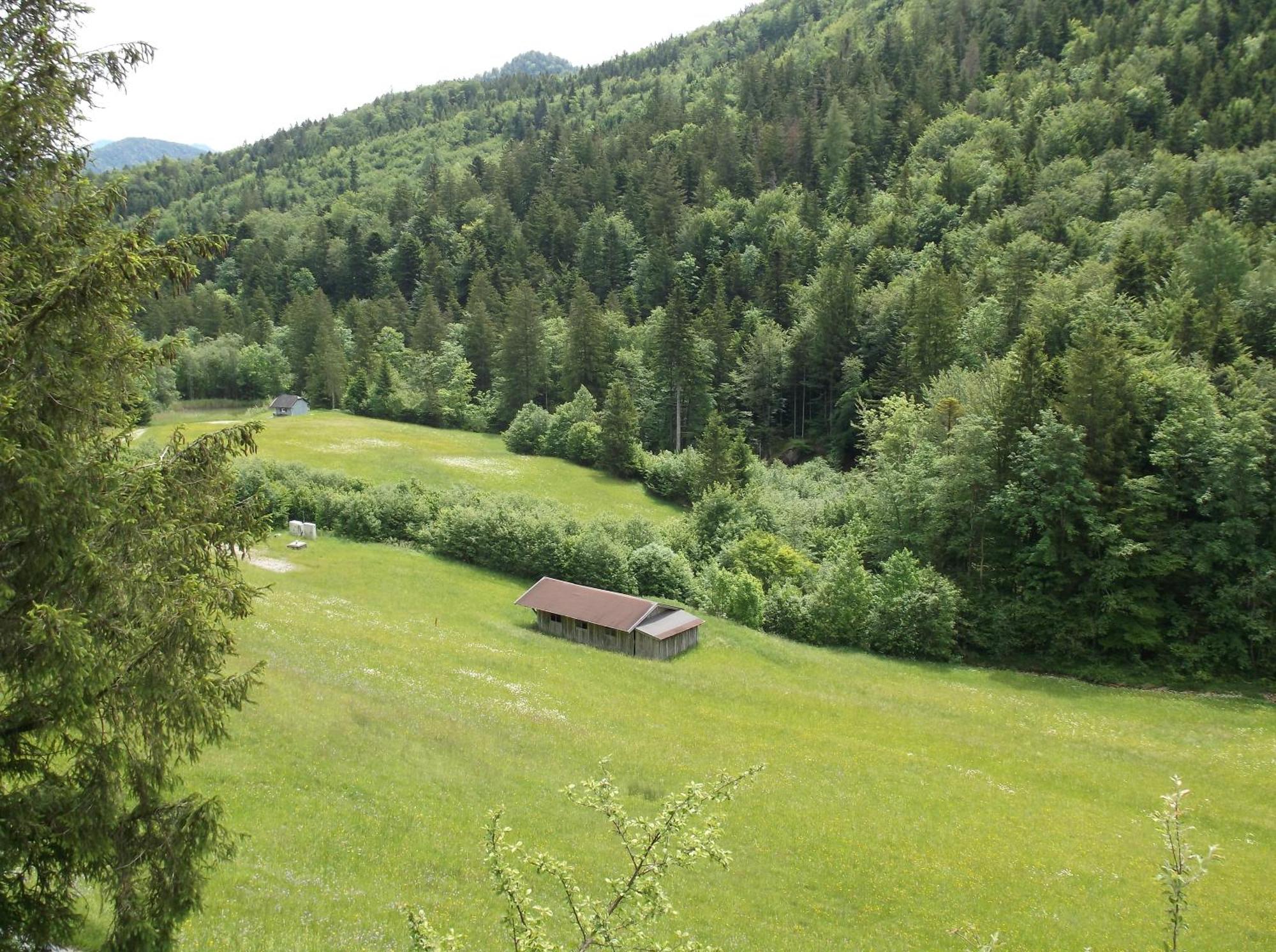 Kleine Einfache Ferienwohnung In Malerischer Umgebung Salzburgs Koppl ภายนอก รูปภาพ
